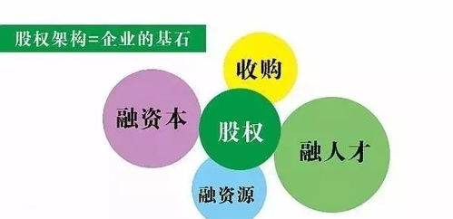穿透迷霧 全面解析股權投資的各類業態